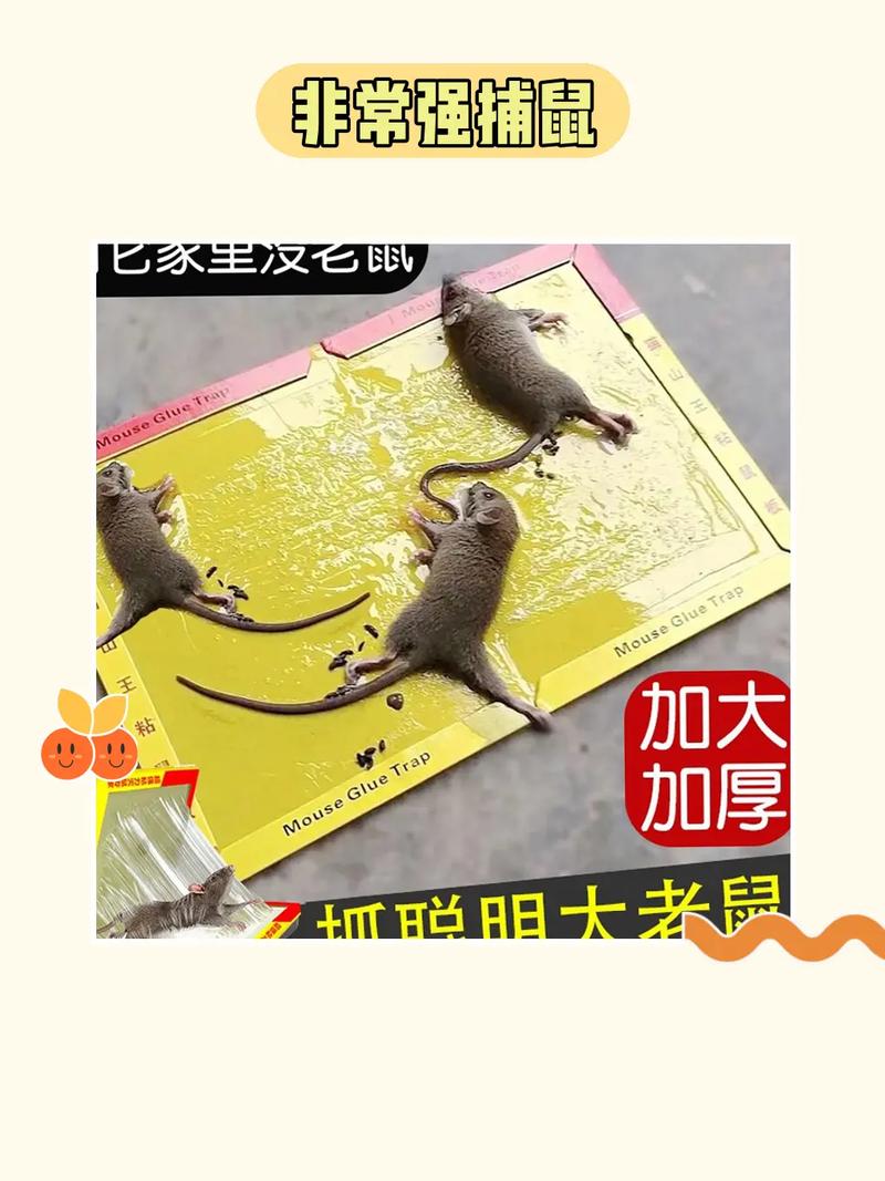 生活资讯 第42页