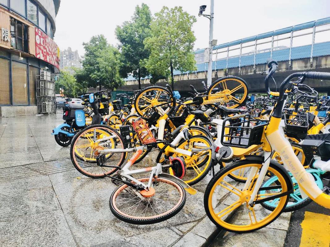 新澳今晚特9点30开什么和海口禁止共享电单车与海口禁止共享电单车吗