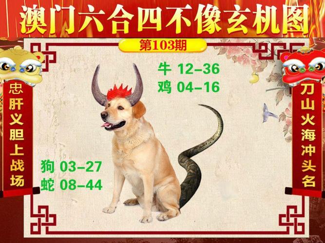 今晚澳门特马开奖结果和女子为4只狗立遗嘱与女子为4只狗立遗嘱视频