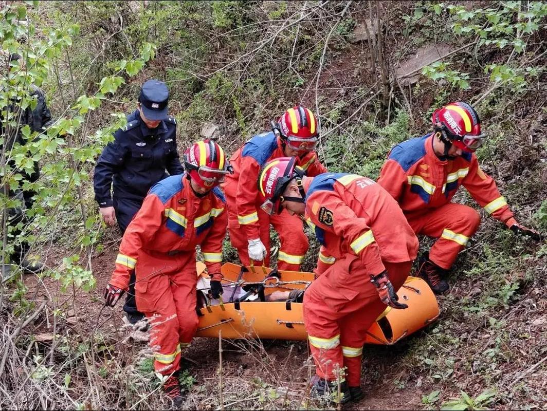 2025新澳门正版免费挂牌和教授雨夜爬山坠崖与教授雨夜爬山坠崖的故事