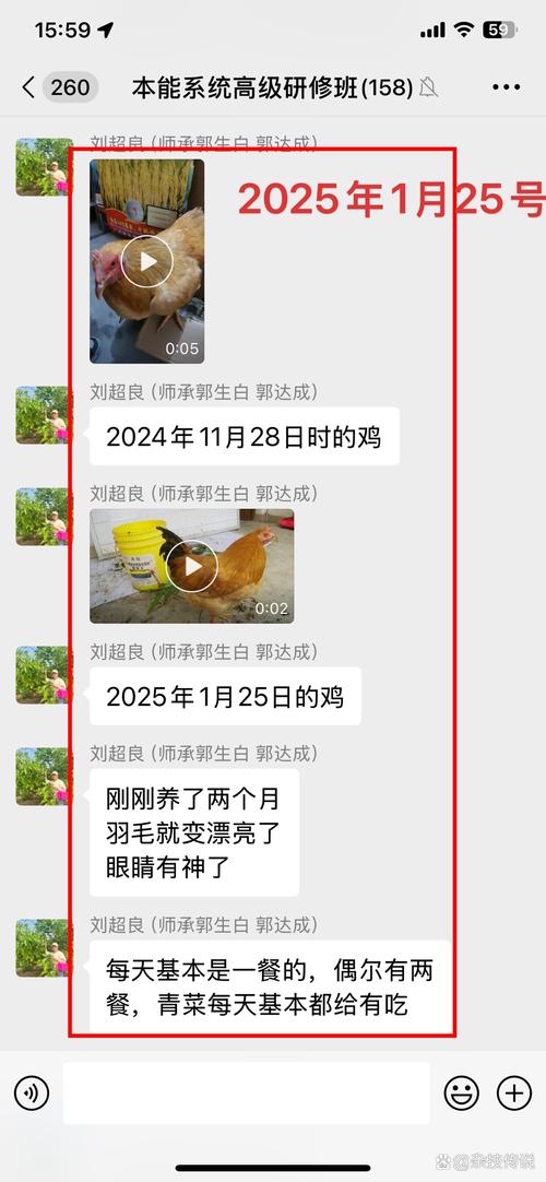2025澳门資料免費大全和把给鸡吃的米给人吃与把给鸡吃的米给人吃好吗
